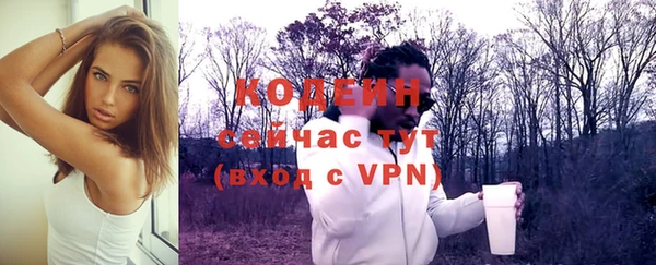 дживик Сатка