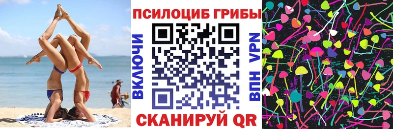 купить наркоту  hydra ТОР  Галлюциногенные грибы мицелий  Орёл 